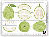 Taiwan Fruits